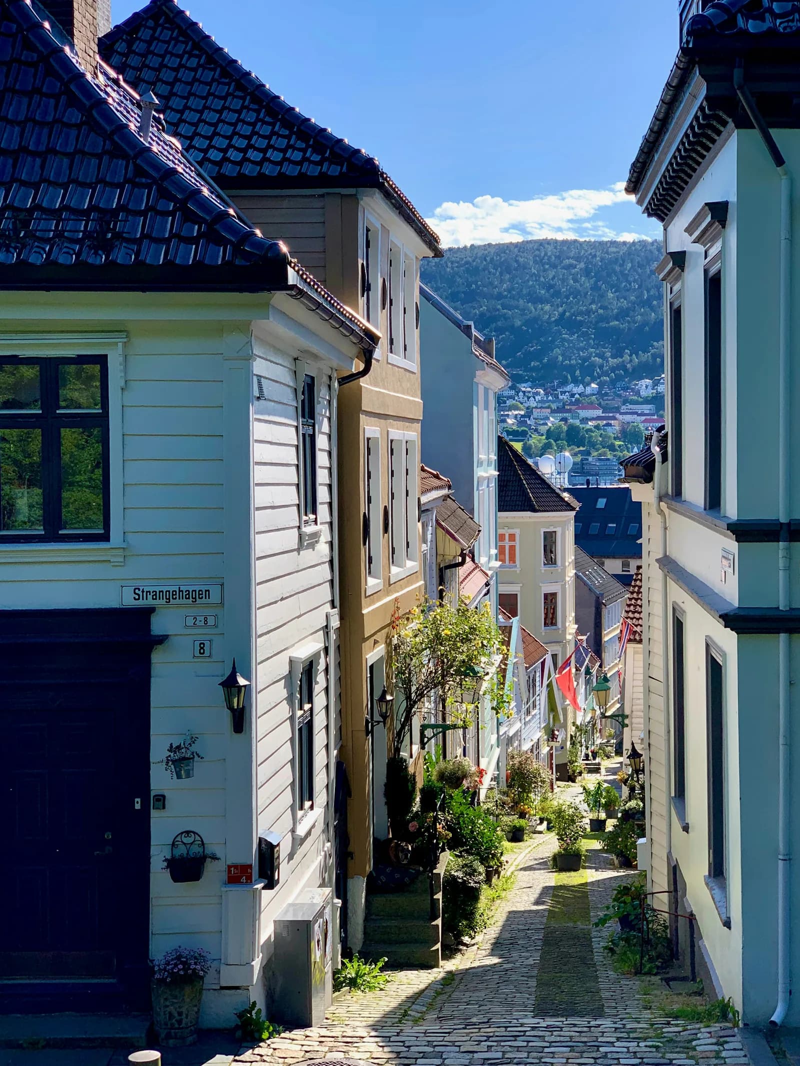 Wooden pastel houses lining a cobbled lane in Bergen with green mountain behind.